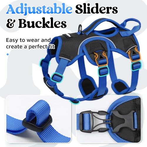 rabbitgoo Escape Proof Dog Harness Large Dogs, Soft Padded Full Body Pet Harness, Reflective Adjustable No Pull Vest with Lift Handle and Leash Clip for Walking Hiking Training, Blue & Black, S - color: Blue & Black, size: Small (Pack of 1)