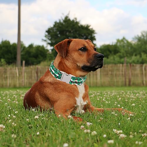 Maca Bates St Patricks Day Dog Collar Irish Clover Dogs Collars Black and White Soft Adjustable Durable Saint Patrick's Shamrock Spring Gift for Small Medium Large Girl Boy Male Female Puppy Pet - color: St. Patrick--stripe clover, size: S