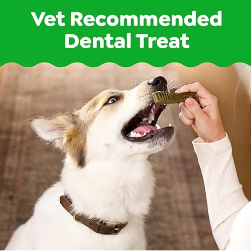 Greenies Veterinarian-Recommended Adult Natural Dental Dog Treats Teenie Size, Original Flavor, (4) 65 ct Packs (260 Treats) - size: 260 Count (Pack of 1)