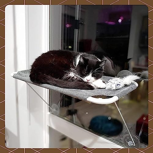 Cat Window Perch with 360° Sunbath, Hammock Bed for Indoor Cats, Grey Comfortable Seat for Sunbathing, Easy to Install on Any Window (Large)
