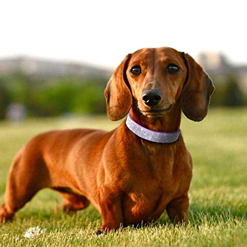Rhinestone Dog Collar, Cute Dazzling Sparkling Soft Suede Leather Adjustable Pet Dog Cat Collar Crystal Diamond for Puppy Small Medium Large Dogs (XXS:15.5-21cm, Dark Blue) - color: Dark Blue, size: XXS:15.5 - 21cm