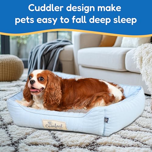 FluffyDream Small Dog Bed, Super Soft Pet Bed Furniture, Suitable for Dogs Up to 30lbs, 24'' x 20'', Light Blue - color: Light Blue