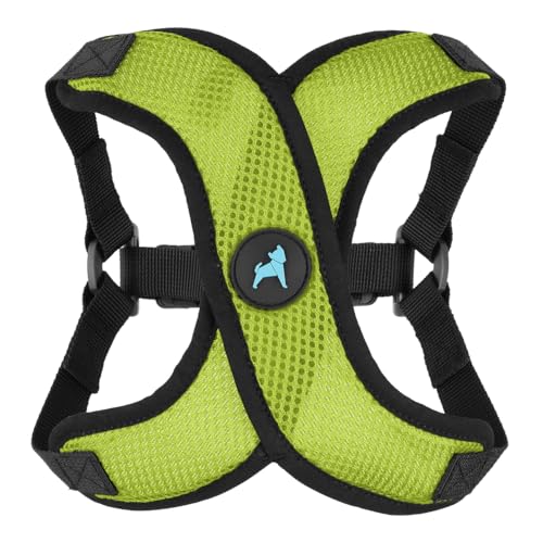 Gooby Comfort X Step in Lite Dog Harness - Choke Free, Escape Free with Light Breathable Mesh - Step in Dog Harness for Small Dogs Only - Quick Release Buckle, Metal D-Rings - Green, Small - color: Green, size: Small (14-17")