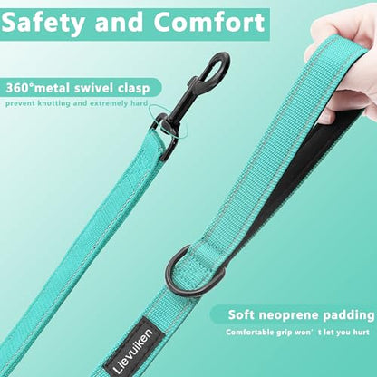 Dog Leash, 4ft Long, Double Handle, Reflective, Turquoise, for Small, Medium, Large Dogs - color: Turquoise, size: 4ft