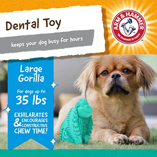 Arm & Hammer for Pets Super Treadz Gorilla Dental Chew Toy for Dogs - Dog Dental Toys Reduce Plaque & Tartar Buildup Without Brushing - Safe for Dogs up to 35 Lbs - size: Large (Pack of 1), style: Gorilla