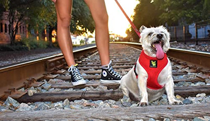 EcoBark Dog Harness - Eco-Friendly Max Comfort Harnesses - Luxurious Soft Mesh Halter - Over the Head Harness Vest- No Pull and No Choke for Puppy, Toy Breeds & Small Dogs (Medium, Red) - color: Red