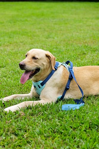 Blue Dog Harness Leash Collar Set, No Pull Reflective Dog Vest Harness with Control Handle, Adjustable Breathable Pet Harness for Small Medium Dogs Walking Training - color: Blue, size: M
