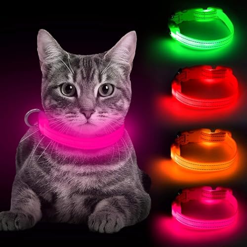 BSEEN Light Up Dog Collar - Reflective LED Dog Collar Rechargeable Glowing Pet Collar for Puppies & Cats, Safety Dog Lights for Night Walking (Pink) - color: Pink