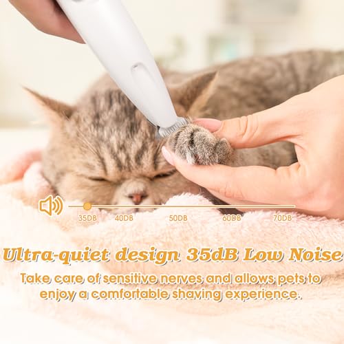 Palksky Dog Paw Trimmer, Upgraded 18mm-Blade Electric Dog Clippers for Groomming-with Led Display, Waterproof Pet Micro Precisiion Trimmer, Rechargeable Hair Shaver for Paws, Ears, Face, Rump-and Eyes - size: One Speed