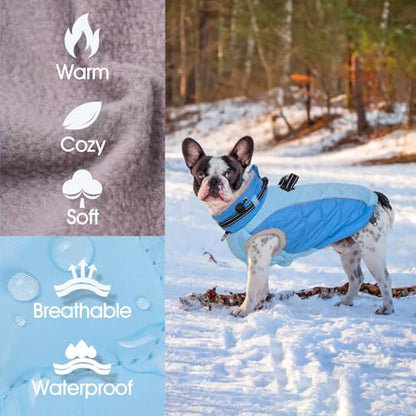 Zippered Small Dog Winter Coat, Turtleneck Reflective Fleece Jacket, Water Resistant Warm Dog Clothes with Buckles & D Ring for Leash and Name Card - XS Blue - color: Blue, size: X-Small