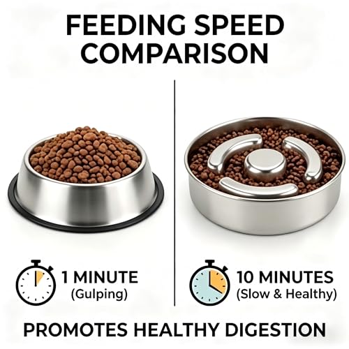 AIPERRO Slow Feeder Dog Bowl Stainless Steel, 2 Cups Metal Non-Slip Dog Food Bowls, Dogs Water Bowl for Small & Medium Sized Dogs, Fun Bloat Stop Pet Bowl for Fast Eaters, Slows Down Pets Eating - size: 2 Cups/ 1.6" Deep (Max 4Cups)