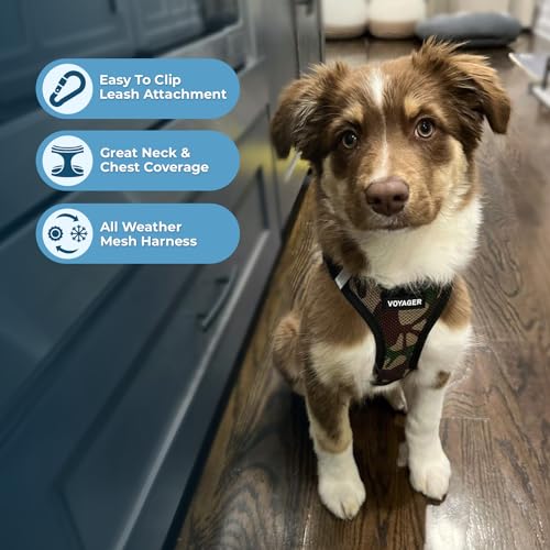 Best Pet Supplies Voyager Step-in Air All Weather Mesh Harness and Reflective Dog 5ft Leash Combo with Neoprene Handle, for Small, Medium and Large Breed Puppies - Set (Army Base), Medium - color: Harness Leash Bundle (Army/Black Trim), size: M (Chest: 16