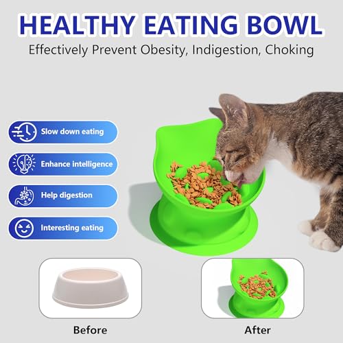 Slow Feed Cat Bowl, Elevated Cat Food Dish with Tilted Design, Dual-Use for Dry and Wet Food, Anti-Vomit, Anti-Choking, Easy to Clean - color: Green, size: Big