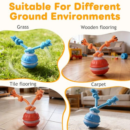 Interactive Dog Toys,Upgraded Motion Activated Rolling Dog Ball Toy for Small/Medium Dogs,Smart Automatic Rolling Toy with USB Rechargeable,Interactive Dog Balls(2PCS) - color: 2PCS