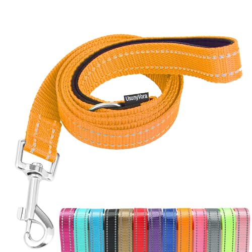 Reflective Nylon Dog Leash for Walking,Strong Dog Leash with Padded Handle for Medium and Large Dogs,6 FT,Orange - color: Orange, size: 1" x 6 FT