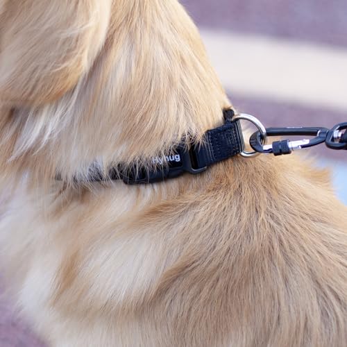 Medium Dog Collar, Black:Heavy-Duty Quick-Release Nylon Buckle, Adjustable & Durable, Cute Dog Collar (Medium, Black) - color: Black, size: Medium
