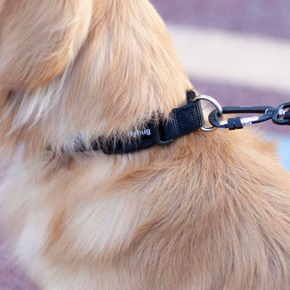 Medium Dog Collar, Black:Heavy-Duty Quick-Release Nylon Buckle, Adjustable & Durable, Cute Dog Collar (Medium, Black) - color: Black, size: Medium