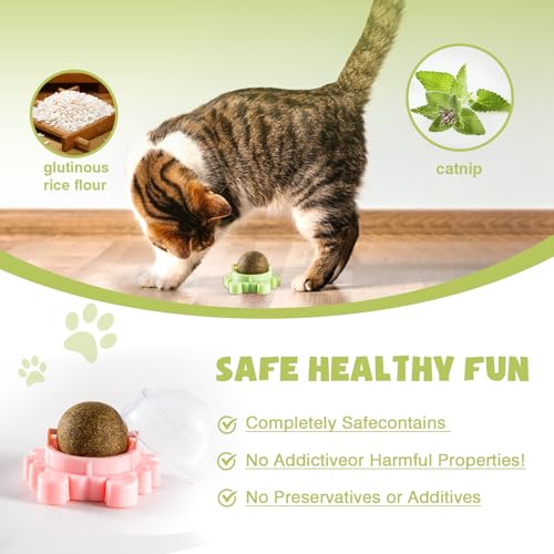 4 Pack Catnip Balls Wall Mounted - Organic Edible Catnip Toy for Cats, 360° Rotatable Interactive Chew Indoor Cat Toy