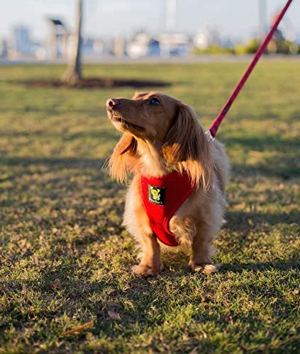 EcoBark Dog Harness - Eco-Friendly Max Comfort Harnesses - Luxurious Soft Mesh Halter - Over the Head Harness Vest- No Pull and No Choke for Puppy, Toy Breeds & Small Dogs (Medium, Red) - color: Red