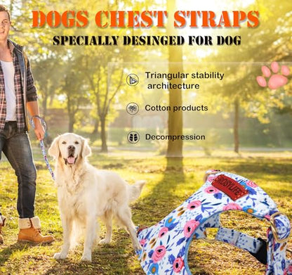 No Pull Dog Harness Adjustable Small Dog Harness and Leash Set, Lightweight and Soft Dog Harness No Choke Escape Proof Pet Harness Vest (Blue Rose, Medium) - color: Blue Rose, size: Medium