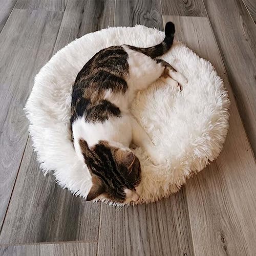 Calming Dog Cat Bed Cat Cushion Cat Mat Long Plush Round Sleeping Bed for Small Medium Kitten Puppy,15.74"/19.68"/23.62"(40cm/15.74inch,Apricot) - color: Apricot, size: 40cm/15.74inch