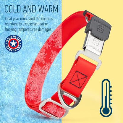 Biothane Waterproof Durable Dog Collar with Herm Sprenger - Quick Release ClicLock Buckle - Fits Medium and Large Dogs - Made in USA (Cherry Red, W 1" x L 15"-25") - color: Cherry Red, size: W 1" x L 15"-25"