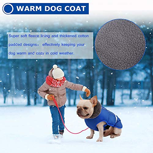 QBLEEV Warm Dog Coat - Reflective Dog Jacket, Waterproof Winter Coat with Turtleneck & Thick Fleece Lining for Small Medium Large Dogs - Snowsuit Christmas Pet Apparel - color: Blue, size: Small