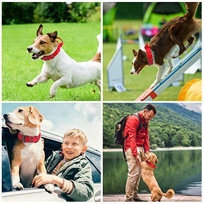 Reflective Dog Collar Heavy Duty Tactical with Control Handle and Metal Buckle for Dog Training(Medium, Red) - color: Red, size: Medium (Pack of 1)