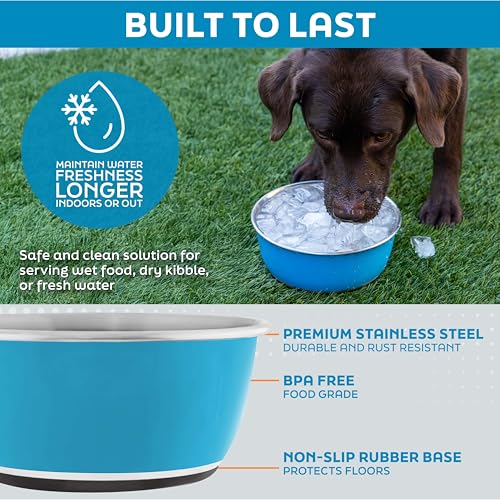 Master Pet Supply Stainless Steel Dog Bowls Set of 2 (16 Oz Each) with Non-Slip Rubber Base - Stainless Steel - Basic Dog Food Bowl Water & Food Bowls for Small Medium Large Dogs & Cats, Metal Dish - color: Stainless Steel, size: 2 Cups (16 oz) 2 Pack