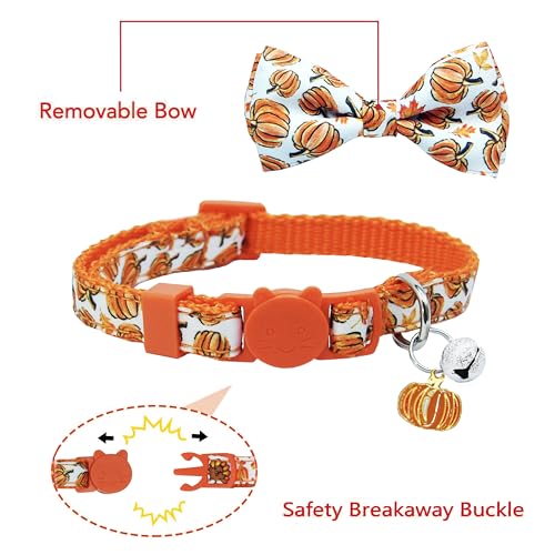 Fall Thanksgiving Harvest Cat Collar with Removable Bow Tie and Bell, Holiday Safety Breakaway Collar with Turkey and Pumpkin Spice Pattern for Boys and Girls Kitties Kittens - color: Thanksgiving Pumpkin
