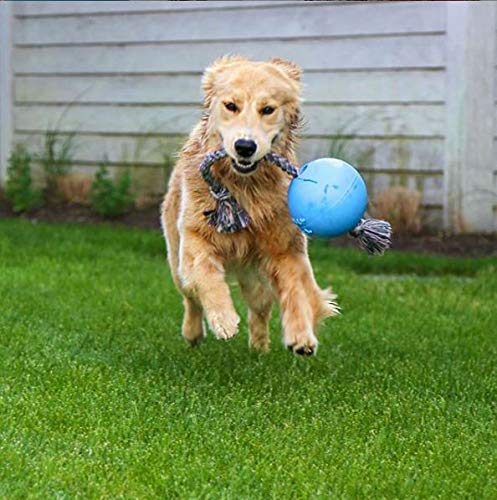 Jolly Pets Romp-n-Roll Rope and Ball Dog Toy, 6 Inches/Medium, Blueberry, Model Number: 606 BB, All Breed Sizes - color: Blueberry, size: Medium (6 in)