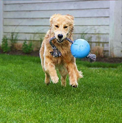 Jolly Pets Romp-n-Roll Rope and Ball Dog Toy, 6 Inches/Medium, Blueberry, Model Number: 606 BB, All Breed Sizes - color: Blueberry, size: Medium (6 in)