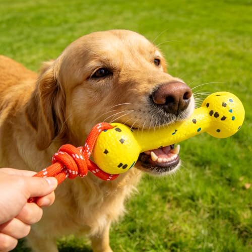 EXPAWLORER Floating Dog Toys 2 Pack, Durable ETPU Dog Water Toys with Rope, Interactive Pool Toy Dummy Bumper for Water Fetch Retrieving, Pool Beach Lake Fetch, Not for Aggressive Dogs