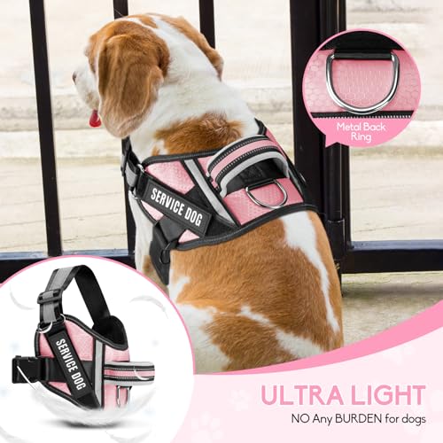 Service Dog Vest Harness and Leash Set, Animire in Training Dog Harness with 10 Dog Patches, Reflective Dog Leash with Soft Padded Handle for Small, Medium, Large, and Extra-Large Dogs - color: Pink, size: XXS