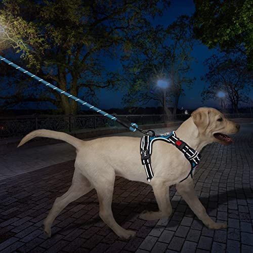 PoyPet Dog Harness and Leash Combo, Escape Proof No Pull Vest Harness, with 5 Feet Leash, Reflective Adjustable Soft Padded Pet Harness with Handle for Small to Large Dogs(Blue,S) - color: Blue, size: S