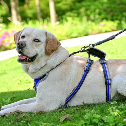Escape Proof Dog Harness - No Pull Dog Harness with Handle, Soft Padded Reflective and Adjustable Full Body Pet Harness Vest for Medium Large Dogs Walking Hiking Training, Blue X-Large - color: Blue, size: X-Large