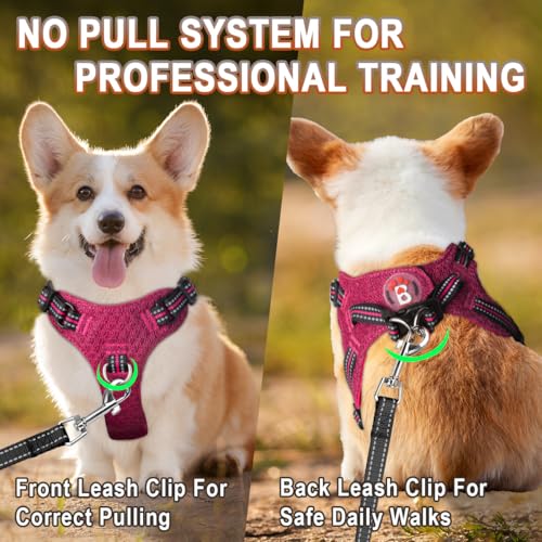 Dog Harness Step in Dog Vest Harness, Reflective Adjustable Puppy No Pull Harness Breathable Soft for Small and Medium Dogs Cats, Pink/Black, XXS - color: Pink/Black, size: XX-Small