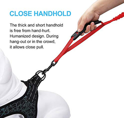 6FT Highly Reflective Heavy Duty Elastic Bungee Medium and Large Dog Leash Shock Absorbing with Comfortable Padded Handle and Traffic Handle Suitable for Training Red - color: Red
