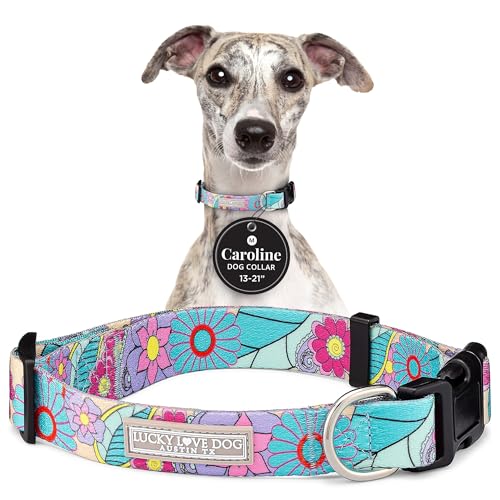 Lucky Love Dog Collars, Vivid Flower Pattern Dog Collars for Medium Female Dogs, Spring & Summer Floral Themed Print, Caroline, Medium - color: Caroline Collar Only, size: Medium | 13-21"