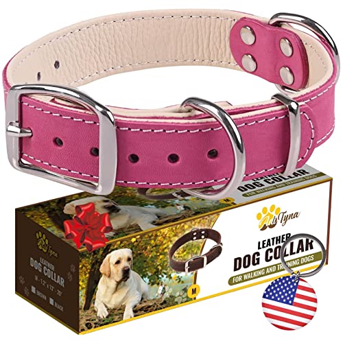 ADITYNA Heavy-Duty Pink Leather Dog Collar for Medium Dogs - Lined with Soft Leather - Girl Dog Collar for Walking, Training, and Hiking - color: Pink, size: Medium: Fit 13-20" Neck