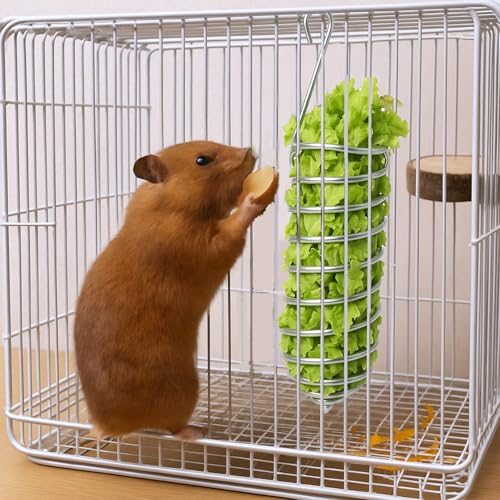 2Pcs Rat Enrichment Toys Stainless Steel Bird Food Holder Rat Parrot Foraging Toy Hanging Rodent Toy Fruit Vegetable Holder Puzzle Toy Slow Feeder Parakeet Foraging Mice Cage Accessories