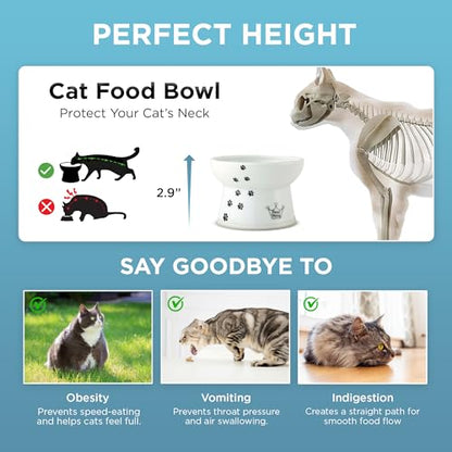Necoichi Raised Cat Food Bowl – Ceramic Elevated Cat Bowl for Whisker & Neck Fatigue, Dishwasher Microwave Safe – Non-Slip & Anti Vomiting Ergonomic Design (Cats, Regular, 1-Cup Capacity) - color: Cat, size: Small Flat (1 Cup)