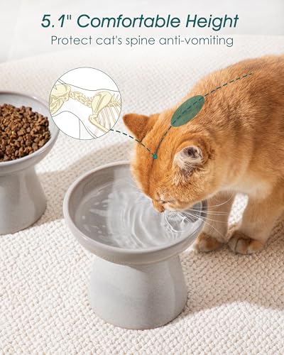 vancasso Ceramic Elevated Cat Bowls 2-Pack - 6.2" Extra Wide Raised Cat Food & Water Dishes, 5.1" Optimal Height Anti-Whisker Fatigue Shallow Bowls for Cats/Kittens/Dogs, Lead & Cadmium Free (Grey) - color: Grey