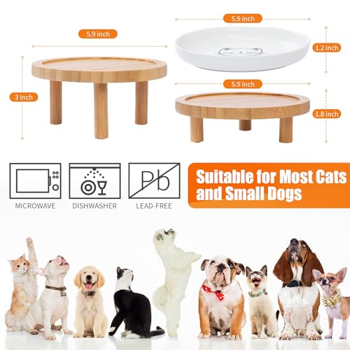 Lusifaco Shallow Elevated Cat Bowls,5.9 Inch Wide Raised Ceramic Cat Dishes with Bamboo Stand, Whisker Friendly Pet Water or Food Plates Feeding Station for Indoor Cats, Kitten(Grey,Set of 1) - color: Grey