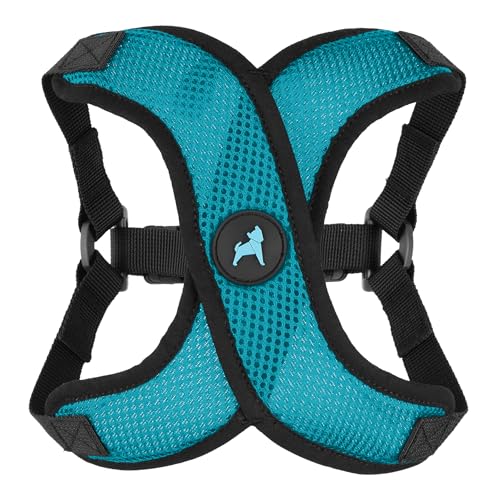Gooby Comfort X Step in Lite Dog Harness - Choke Free, Escape Free with Light Breathable Mesh - Step in Dog Harness for Small Dogs Only - Quick Release Buckle, Metal D-Rings - Turquoise, X-Small - color: Turquoise, size: X-Small (11.8-14")