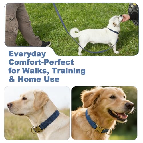Genuine Leather Dog Collar - Adjustable Pet Collar with Quick Release Metal Buckle, Soft Skin Friendly Real Leather Collar for Small, Medium, Large Dogs (Blue Collar + Rope, M：Fit 12-20" Neck) - color: Blue Collar + Rope, size: M：Fit 12-20" Neck