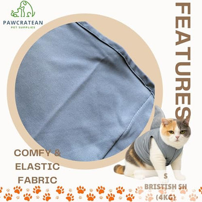 Pet Custom Dog Custom Cat Custom Hoodie, Sporty Look, Funny Gift, Halloween Holiday (Shark with Standing Fin, Large) - color: Shark with Standing Fin, size: Large