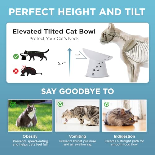 Necoichi Elevated Cat Food Bowl, Ceramic (Porcelain),15° Tilted, Whisker-Friendly, Dishwasher, Microwave Safe, Non-Slip, Anti-Vomiting, Neck Fatigue (Extra Wide Tilted, 1.5-Cup Capacity) - color: Cat, size: Large Extra Wide Tilted (1.5 Cups)