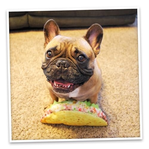 Doggijuana Refillable Juananip Toy Bundle | Taco Bundle | Funny Dog Toy Plush with Catnip and Refill | Calming Aid for Dogs | Interactive Chew Toy for Play - style: Taco