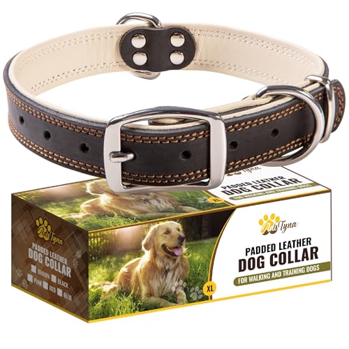 ADITYNA Heavy-Duty Black Leather Dog Collar for Large Dogs - Soft Padded for Comfort - Large Dog Collar for Walking, Training, and Hiking - color: Black, size: Large: Fit 17-23" Neck